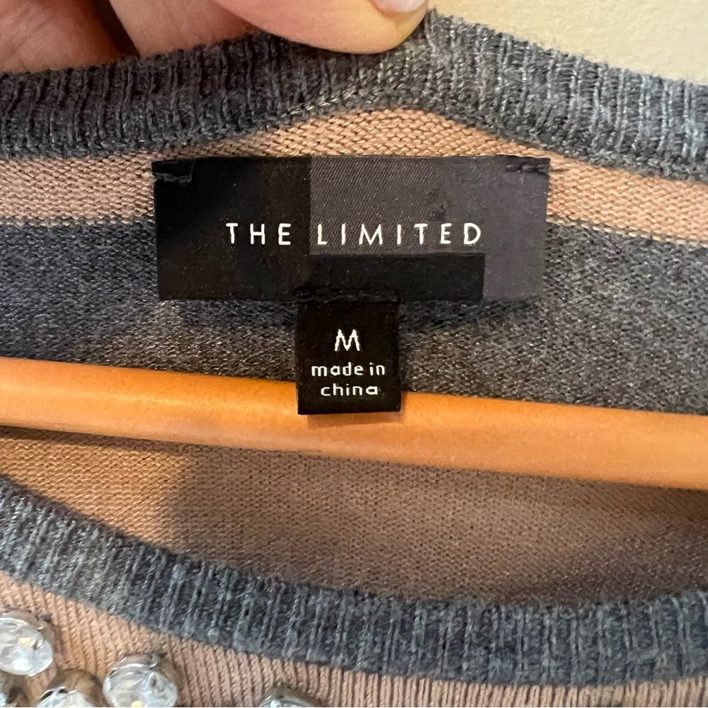 The Limited Gray and Tan Striped Sweater with Embellished Neckline - Picture 5 of 10